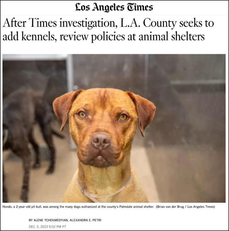 animal shelters - SEIU Local 721